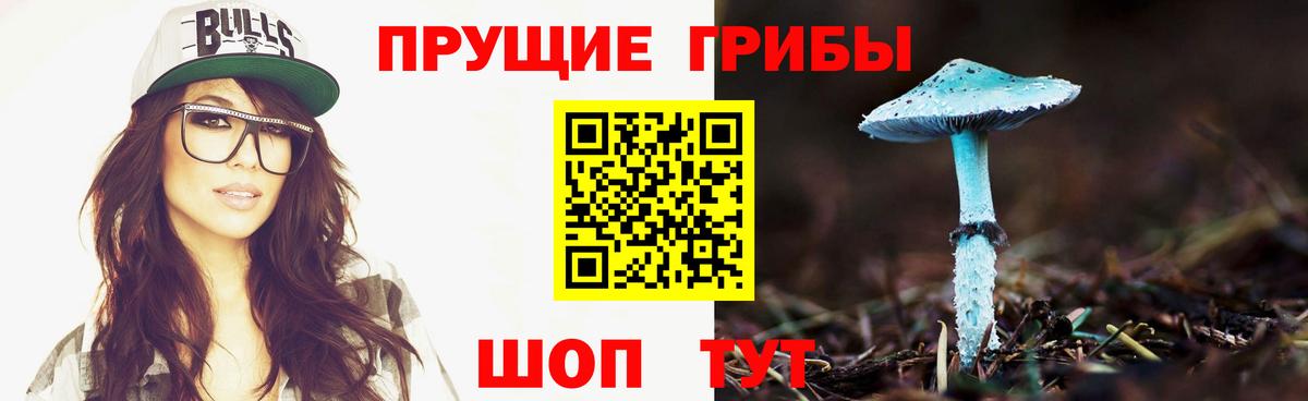 Галлюциногенные грибы Cubensis Нефтекумск